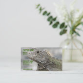 Gehörnte Leguan-Visitenkarte Visitenkarte (Stehend Vorderseite)