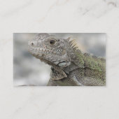 Gehörnte Leguan-Visitenkarte Visitenkarte (Rückseite)