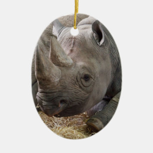 Gehörnte Nashorn-Verzierung Keramik Ornament