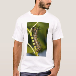 Gehörnte Teufel-Raupe des Hickorys (Citheronia T-Shirt