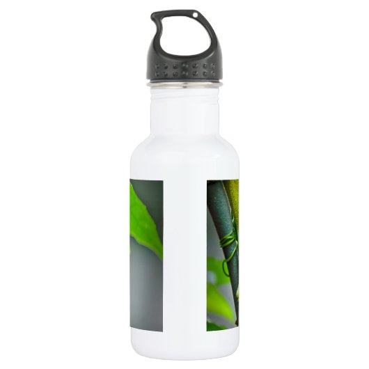 Gehörntes Chamäleon des Riese-3 Trinkflasche (Rückseite)