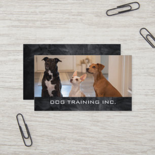 Gehorsame Hunde sitzen im Haus Hundetrainer Visitenkarte