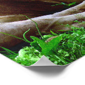 Gehorsame Löwen Poster (Ecke)