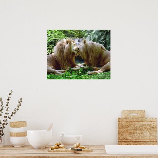 Gehorsame Löwen Poster (Küche)