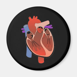 Gehört offen magnet