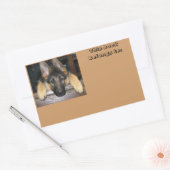 Gehört zur Bezeichnung Aufkleber (Umschlag)