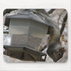 Geht der Vogel-Samen Mousepad