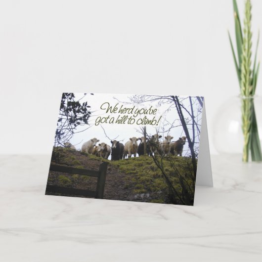 Geht es bald gut. Kühe Karte (Vorderseite)