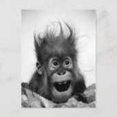 GEHT NICHT PANIK! Postkarte (Vorderseite)