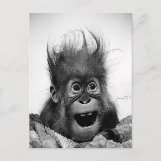 GEHT NICHT PANIK! Postkarte (Vorderseite)