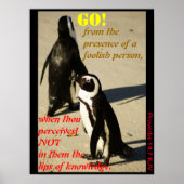 GEHT! POSTER (Vorne)