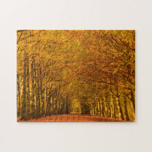 Gehweg durch den Wald im Herbst Puzzle