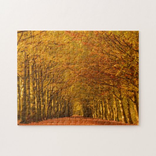 Gehweg durch den Wald im Herbst Puzzle (Horizontal)