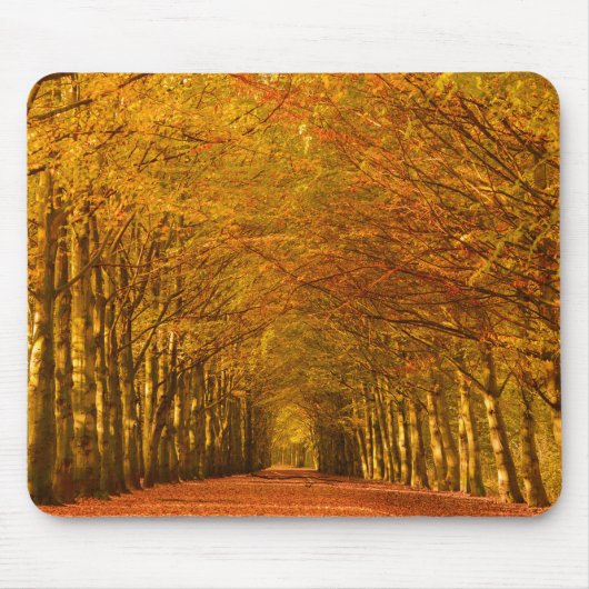 Gehweg durch den Wald in Herbst mousepad (Vorne)