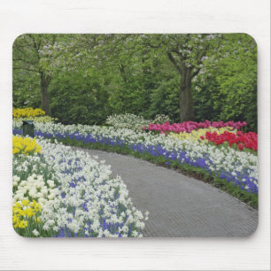 Gehweg durch Tulpen und Narzissen, Mousepad