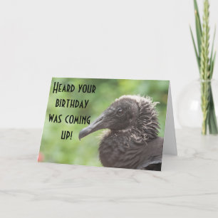 Geier-alles Gute zum Geburtstag Karte