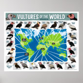 Geier der Weltkarte Poster (Vorne)