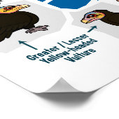 Geier der Weltkarte Poster (Ecke)