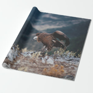 Geier Geschenkpapier