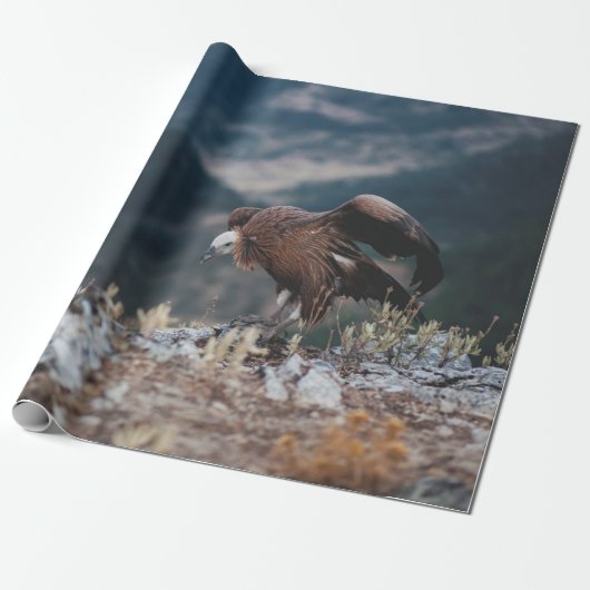Geier Geschenkpapier (Ungerollt)