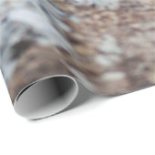 Geier Geschenkpapier (Rolleneckpunkt)