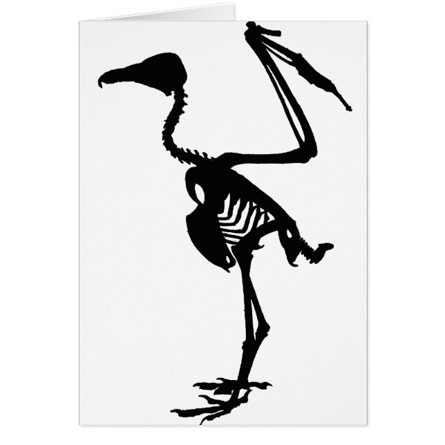 Geier-Knochen (Vorne)