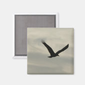 Geier. Magnet (Vorderseite/Rückseite)