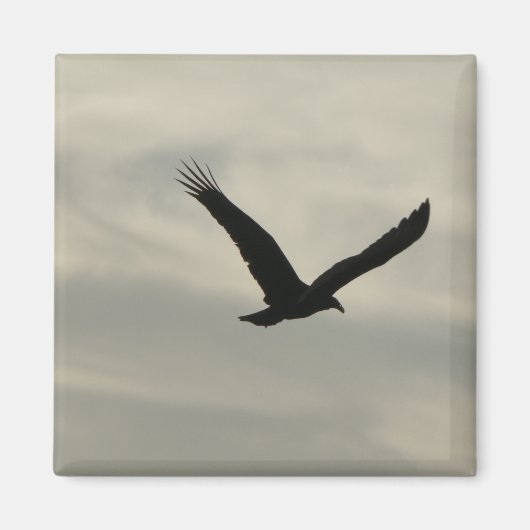 Geier. Magnet (Vorne)