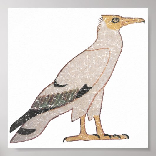 Geier Poster (Vorne)