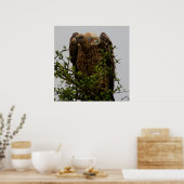 Geier Poster (Küche)