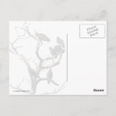 Geier Postkarte (Rückseite)