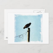 Geier Postkarte (Vorne/Hinten)