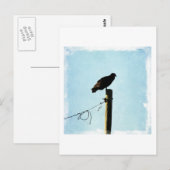 Geier Postkarte (Vorne/Hinten)