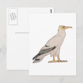 Geier Postkarte (Vorne/Hinten)