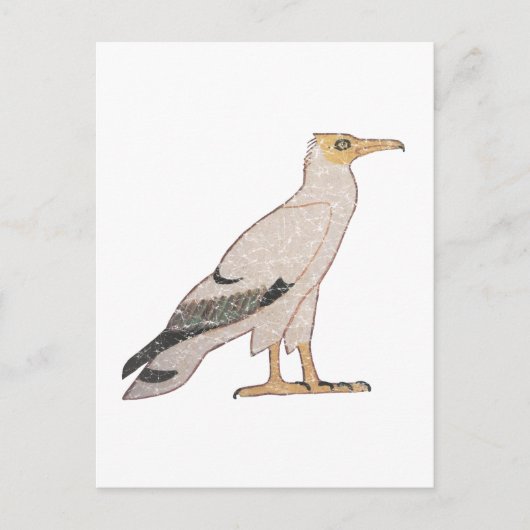 Geier Postkarte (Vorderseite)