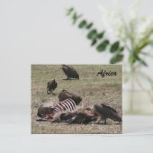 Geier Postkarte (Stehend Vorderseite)