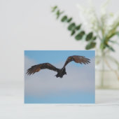 Geier Postkarte (Stehend Vorderseite)