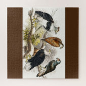 Geier Puzzle (Horizontal)