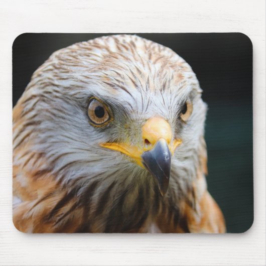 Geier, Wüstengeier, Vogel Mousepad (Vorne)