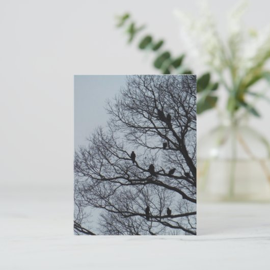 Geierfahndung im Winterbaum Postkarte (Stehend Vorderseite)