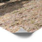Geierkampf Poster (Ecke)