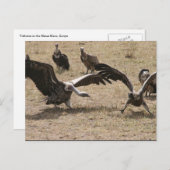 Geierkampf Postkarte (Vorne/Hinten)