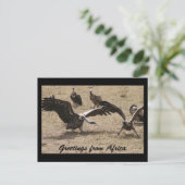 Geiertanz Postkarte (Stehend Vorderseite)