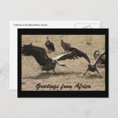 Geiertanz Postkarte (Vorne/Hinten)