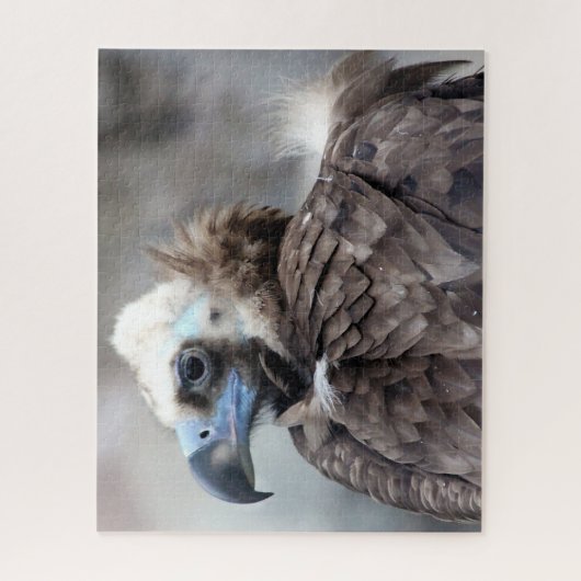 Geiervogel der Beute. Puzzle (Vertikal)