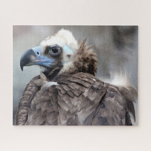 Geiervogel der Beute. Puzzle (Horizontal)