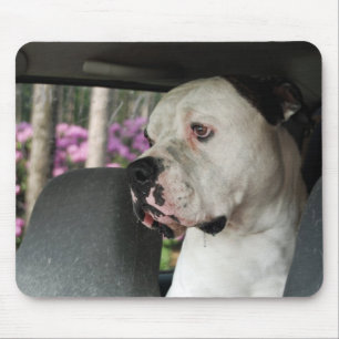 geifernde amerikanische Bulldogge Mousepad