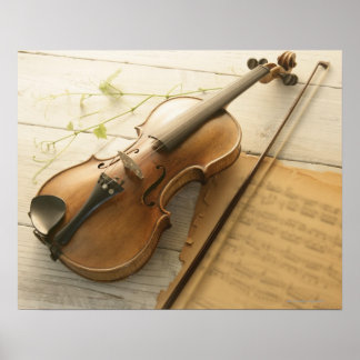 Geige und Noten Poster