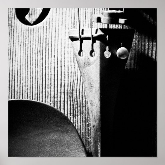 Geigenposter Poster (Vorne)