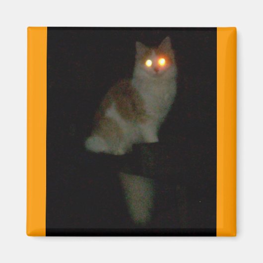 geile Kätzin Magnet (Vorne)